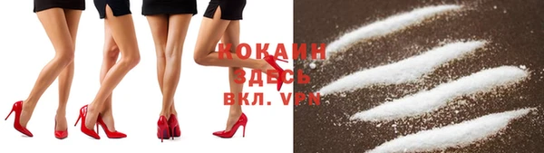 бошки Осинники