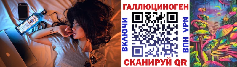 Галлюциногенные грибы Psilocybine cubensis  Краснообск 